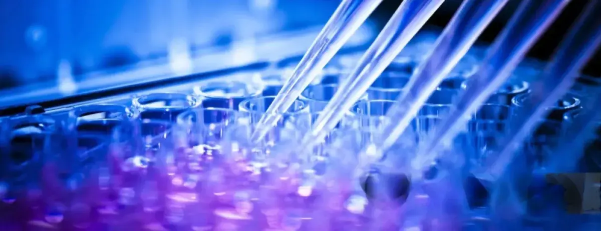 Innovación en acción en el sector farmacéutico